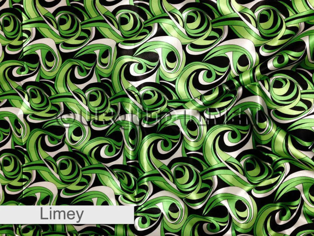 Abstract (Pucci)