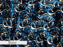 Abstract (Pucci)