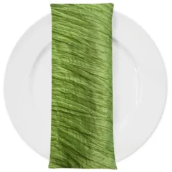 Accordion Taffeta Table Napkin in Green