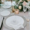Apollo - Glass Charger Plate in Silver (Item # 0328)