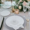 Beaded - Glass Charger Plate in Clear (Item # 0239)