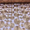 Coin (w/ Poly Lining) Table Napkin in Rose Gold