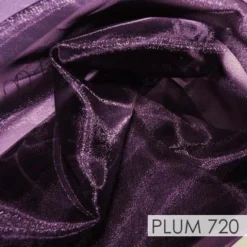 Crystal Organza Drapery Panels (58