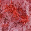 Flower Wall - Pink Dream