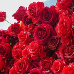 Flower Wall - Stacie