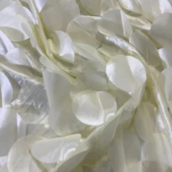 Funzie (Circle Hanging) Taffeta Table Linen in Ivory