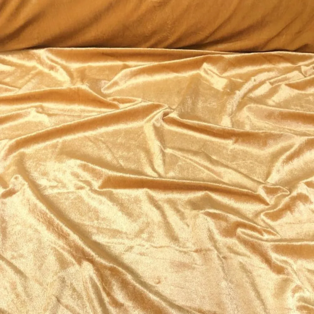 Lush Velvet Drapery Panel in Gold