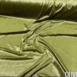 Lush Velvet Drapery Panel in Olive