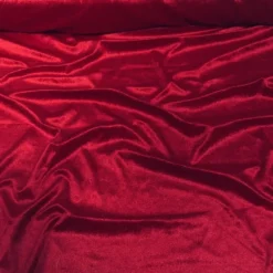 Lush Velvet Drapery Panel in Wine