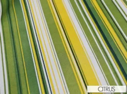 Multi-Colored Stripe