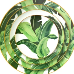 Palm Collection