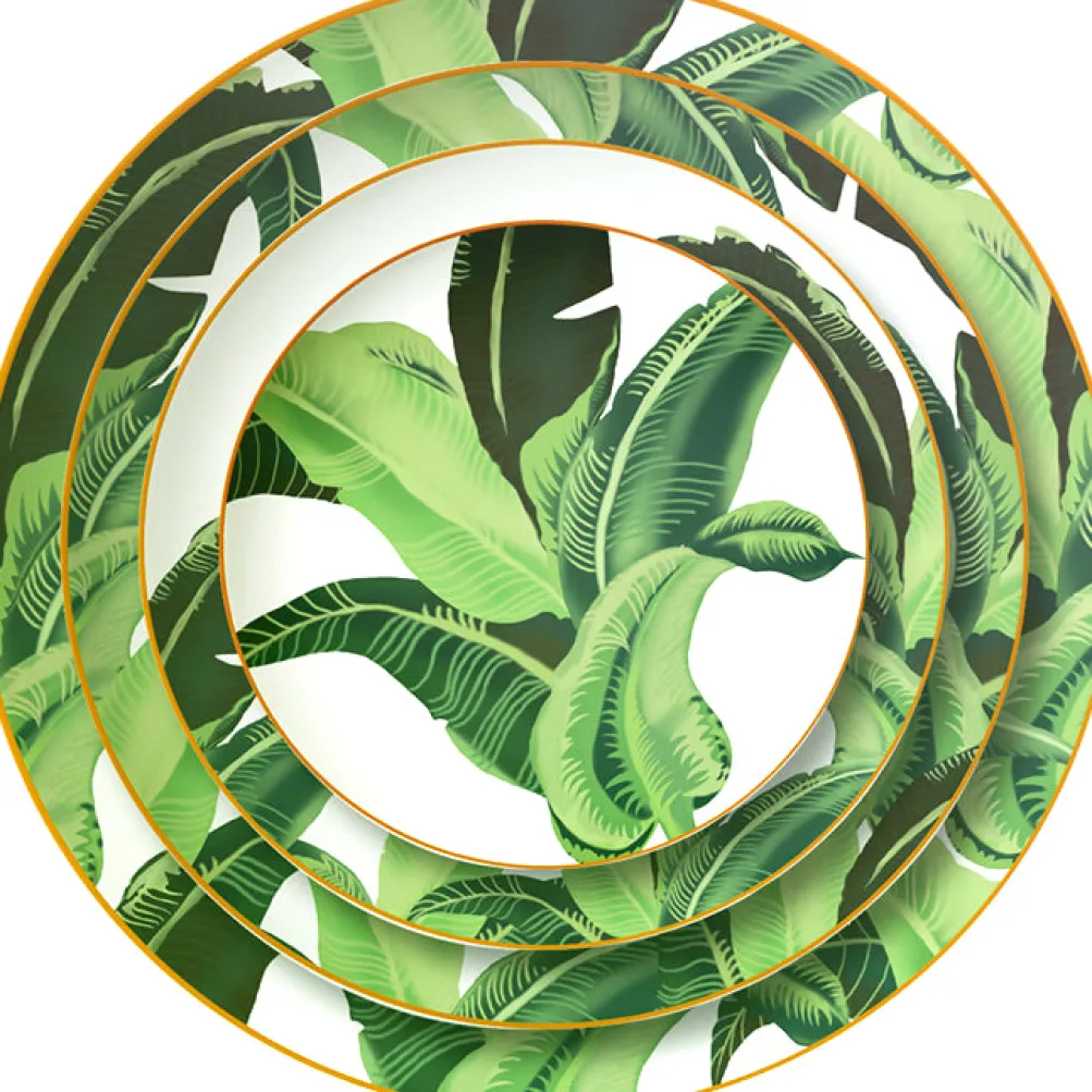 Palm Collection