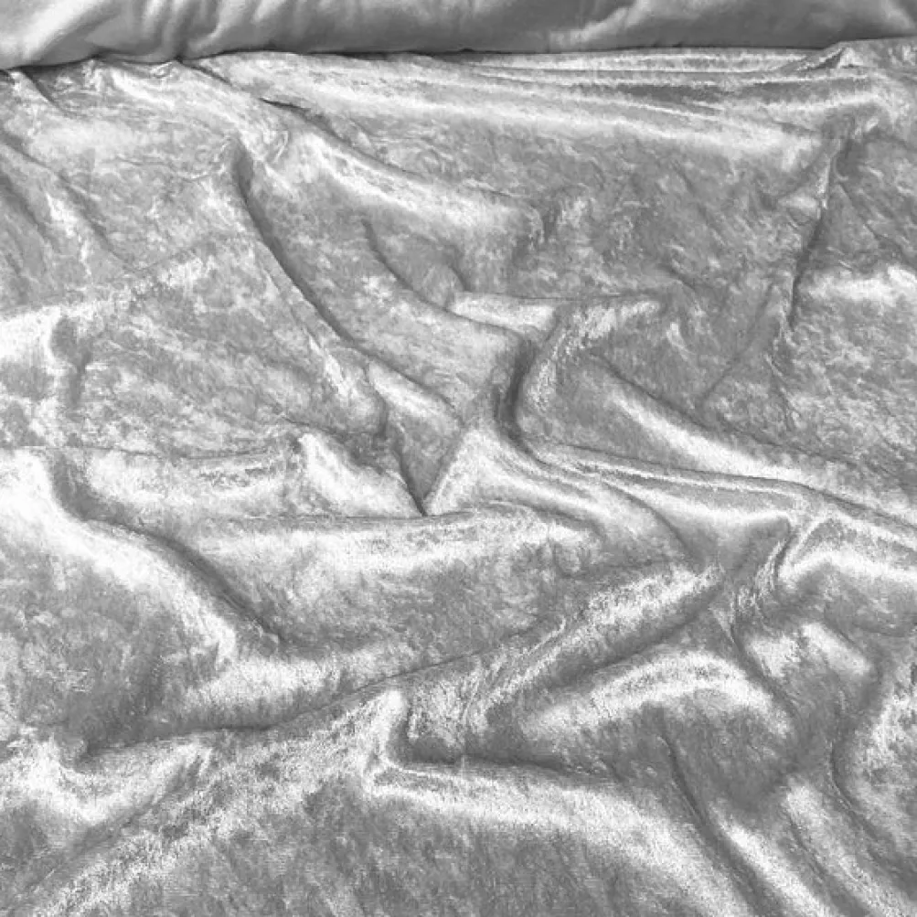 1pc - Panne (Crush) Velvet Drapery Panel in Silver (12' Tall x 58" Wide)