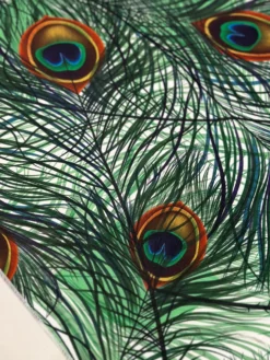 Peacock (Poly Print) Table Linen