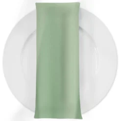 Premium Poly (Poplin) Table Napkin in Mint 1320