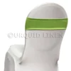 Premium Spandex Chair Band in Avocado 11