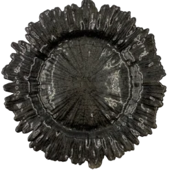 Reef - Glass Charger Plate in Black (Item # 0126)
