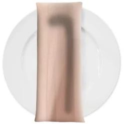 Scuba (Wrinkle-Free) Table Napkin in Spanvilla 9955