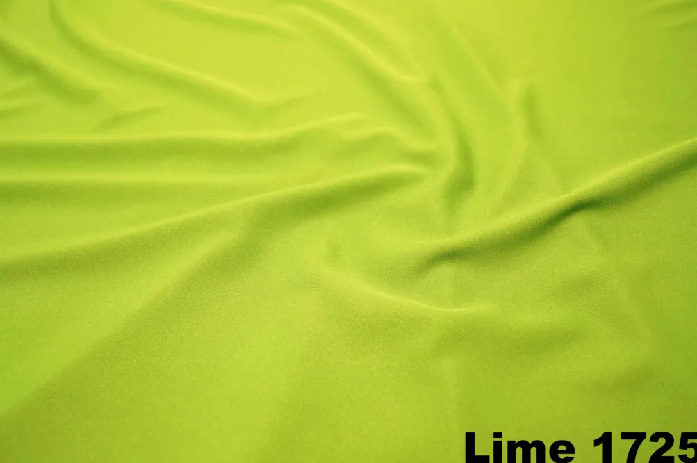 Shirred Pleat Stage Skirt
