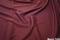 Shirred Pleat Stage Skirt