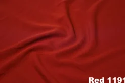 Shirred Pleat Stage Skirt