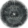 Solaris - Glass Charger Plate in Black (Item # 0426)